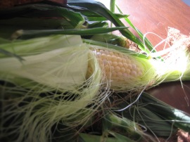 Fresh corn Ronit Penos