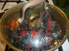 Berries and Orange Coulis and Popsicles Ronit Penso